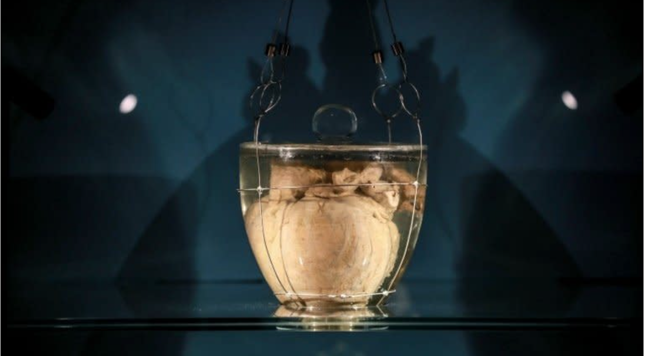 Brazil to display the heart of the monarch who declared independence in 1822