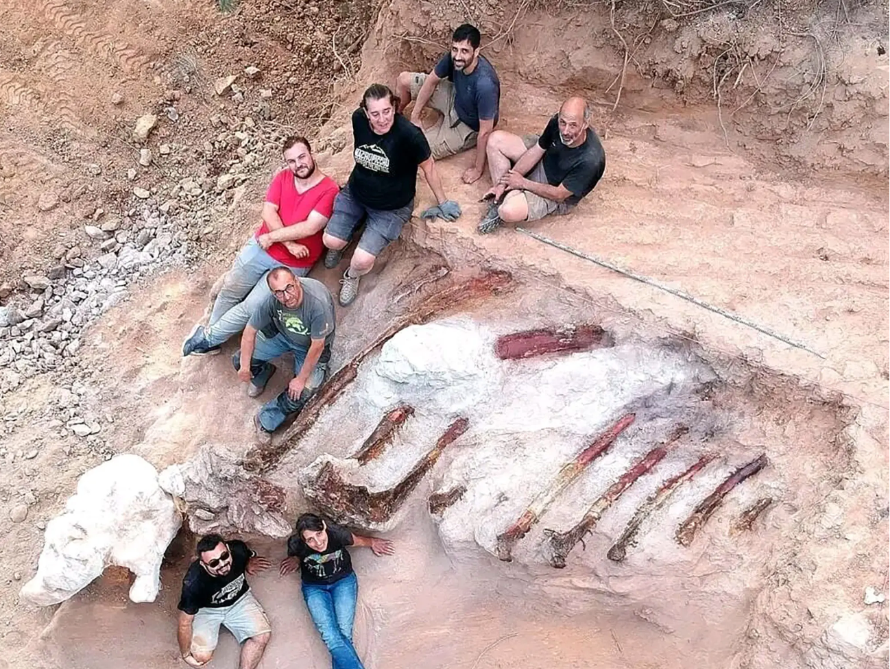 Portuguese man discovers 82-foot-long dinosaur skeleton in his backyard