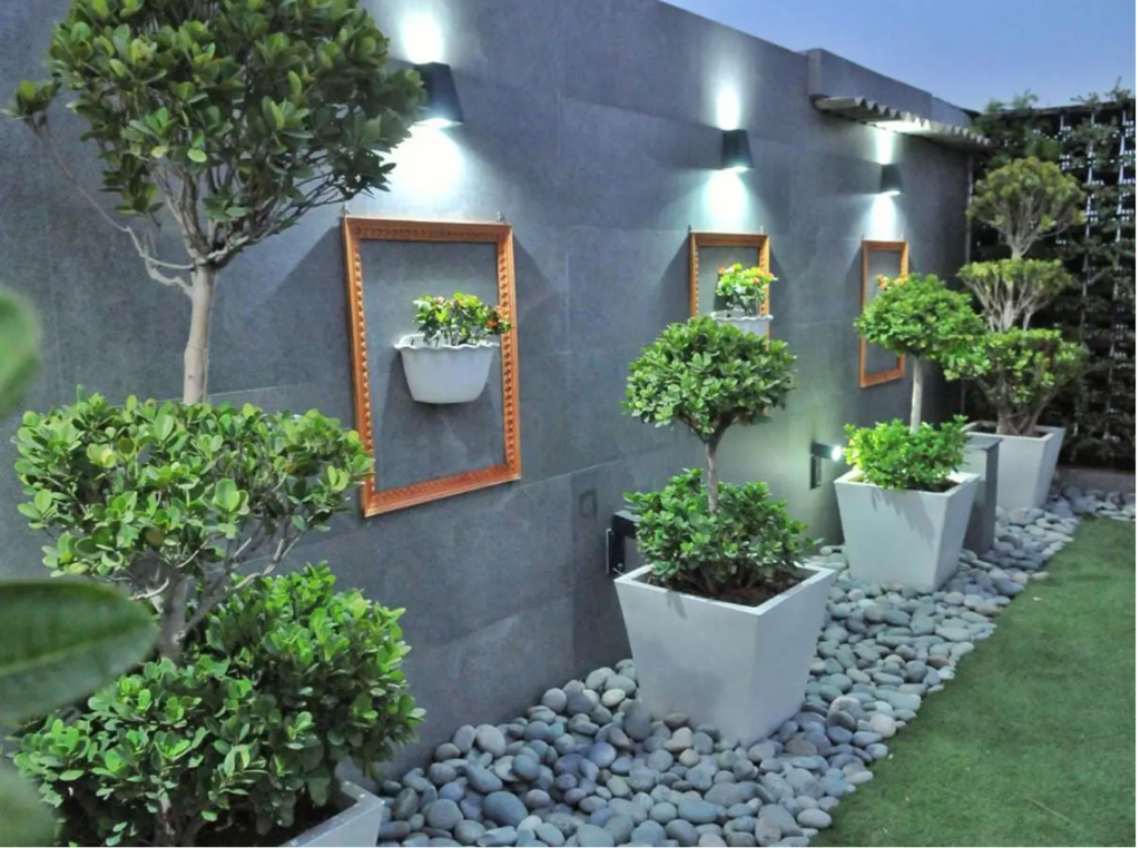 How to create a terrace garden? Stepbystep guide TrendRadars