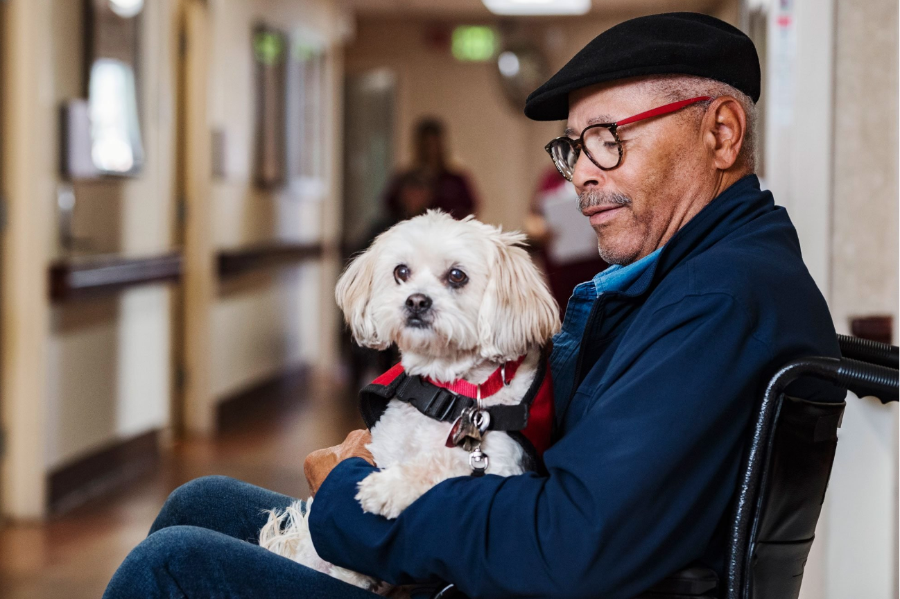 Breezy Explainer: Dogs can smell stress from human sweat & breath, says study