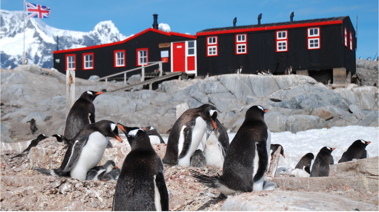 Four women chosen to run the world’s remotest post office and count penguins in Antartica
