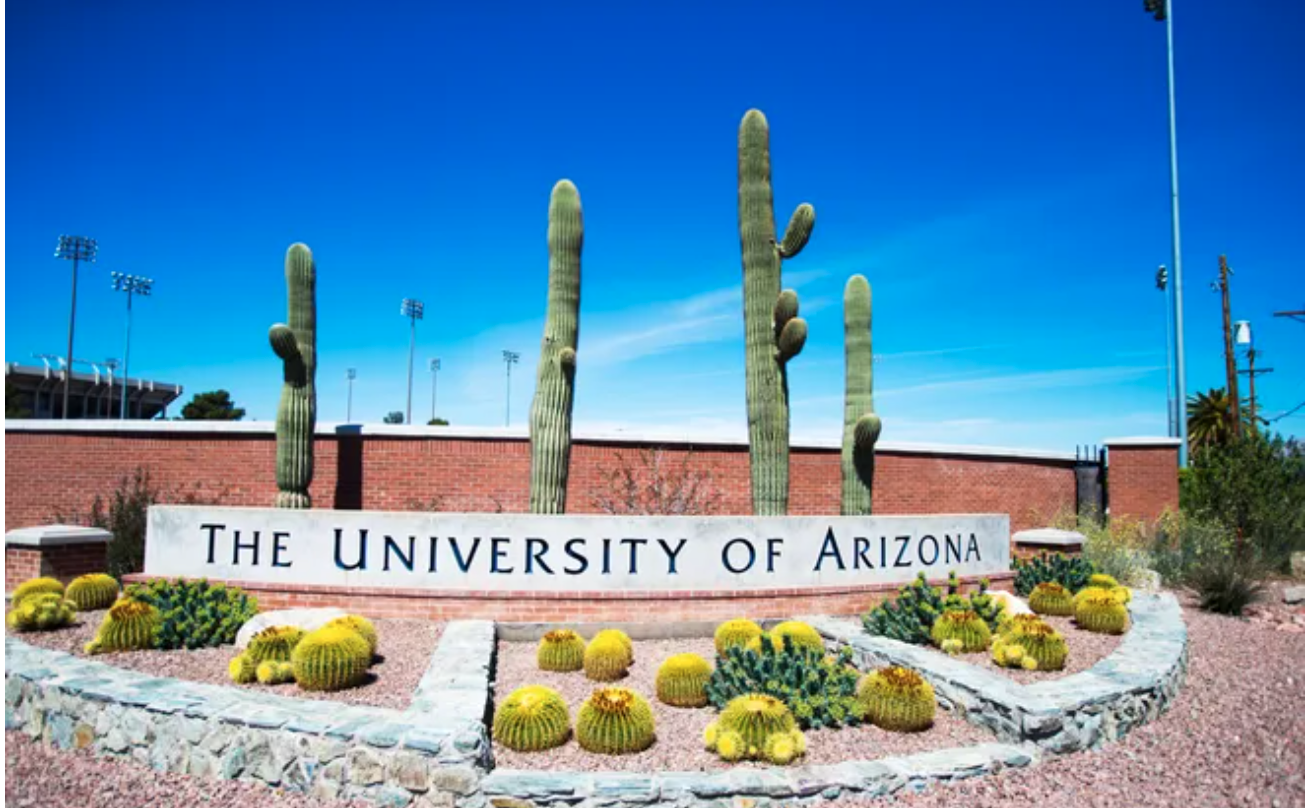 University of Arizona professor shot dead on campus, suspect in custody