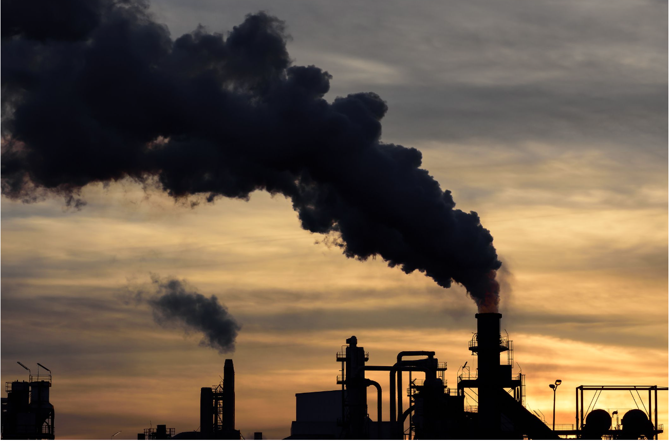 Toxic air pollution particles found in the lungs and brains of unborn babies for the first time