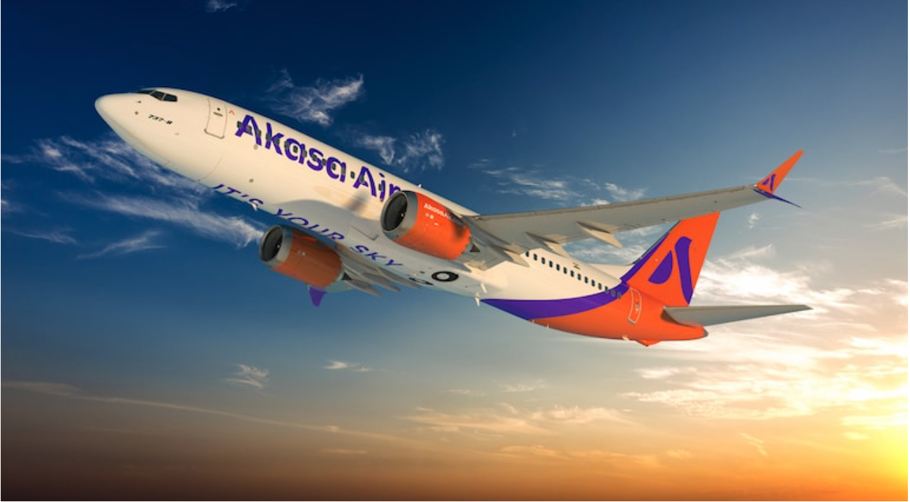 Beginning in November, Akasa Air to accept domesticated dogs and cats on board
