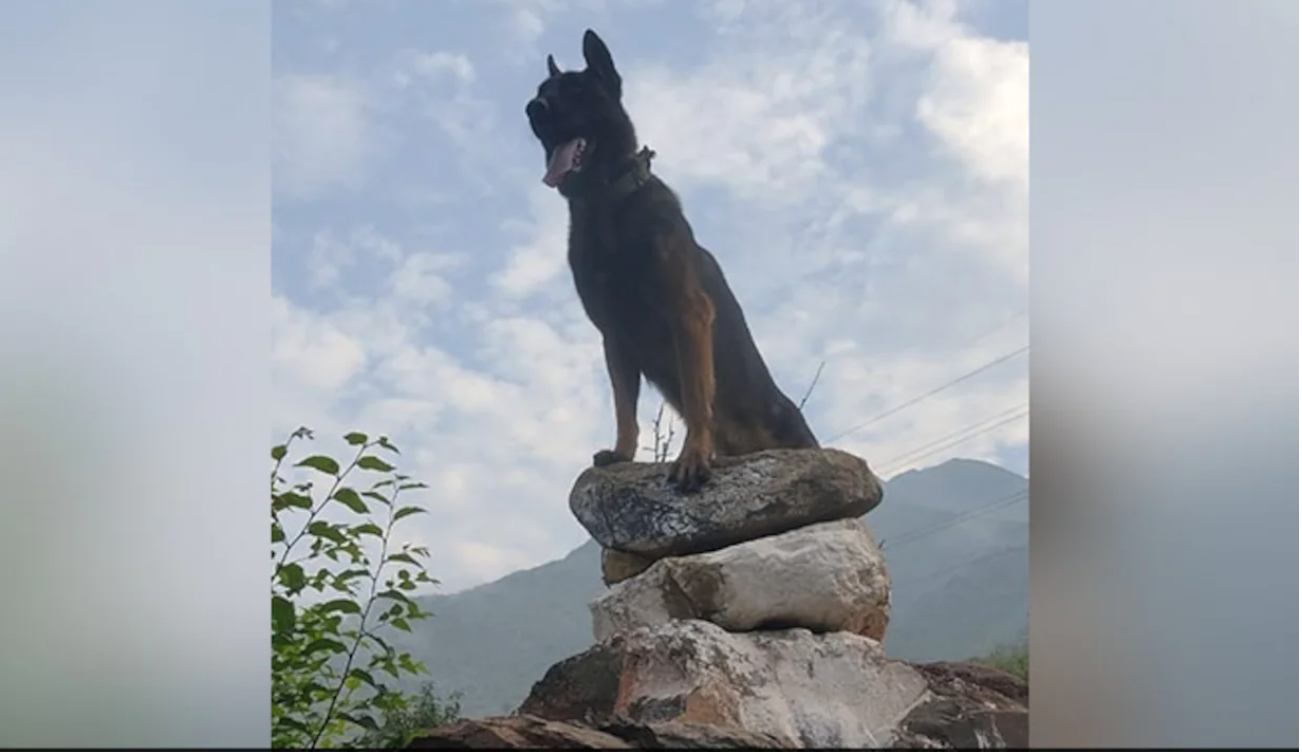 Indian Army’s dog fought terrorists even after being shot at twice