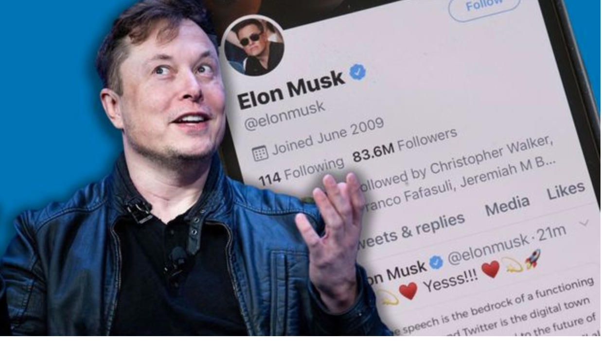Twitter deal: Investor sues Elon Musk for ‘bluffing’