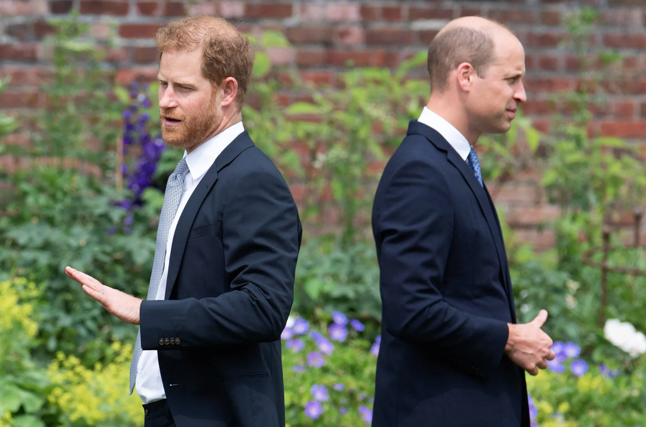Prince Harry says Prince William screamed and shouted at him over his decision to step back