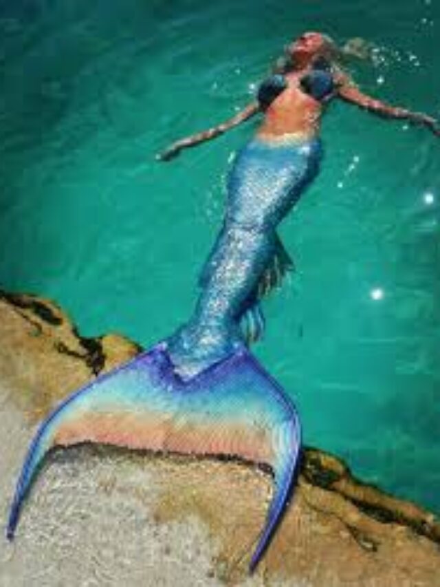 Top real mermaid sightings