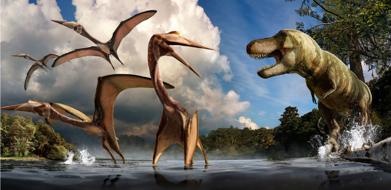 ‘Exciting’ discovery: Researchers discover 4 dinosaur species, including a new one