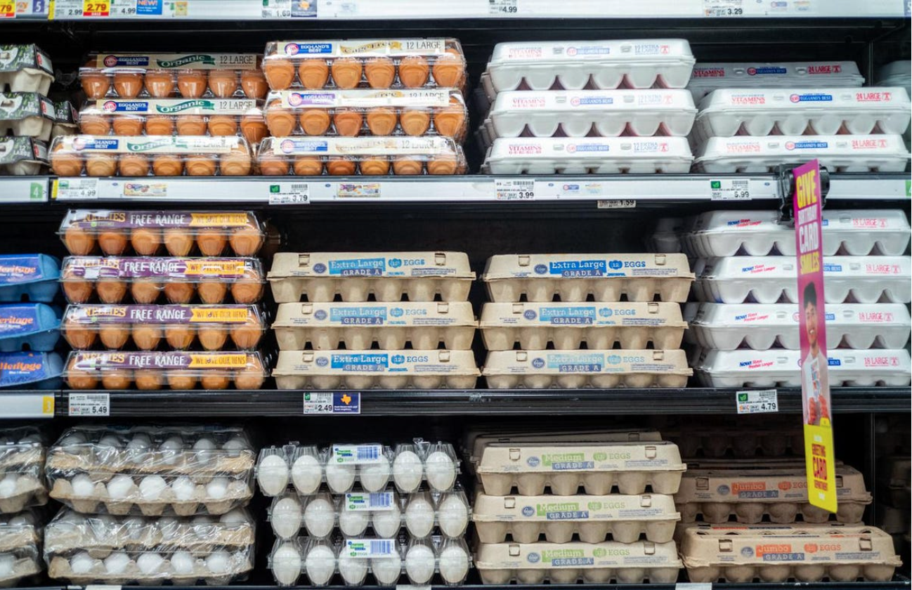 Breezy Explainer: While inflation has eased, why are eggs still so expensive in the US?