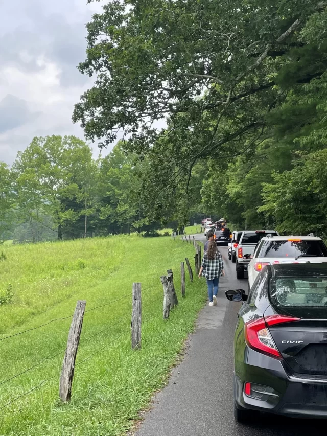 Cades-Cove-1