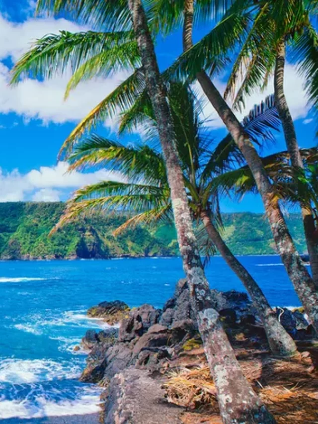 maui-hawaii-VISITUSAFEB0118-69304db6257f4942a0252ed1b78c0851 (1)