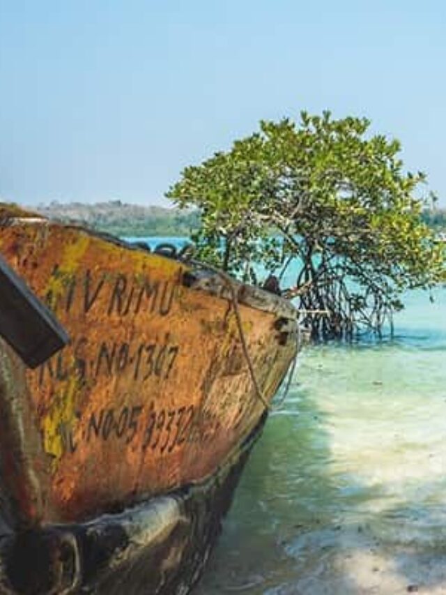 o3aqmqig_islands-in-india_625x300_03_January_23