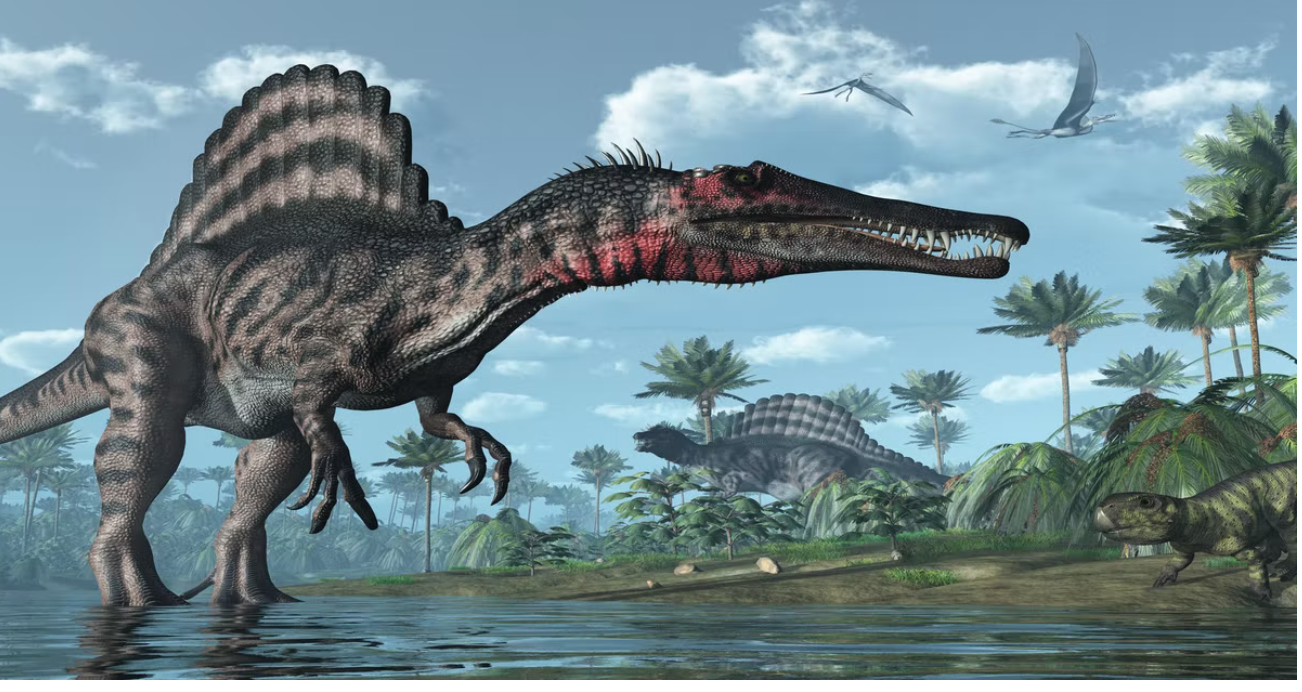 Scientists use relics to rebuild the brain of the greatest carnivorous dinosaur