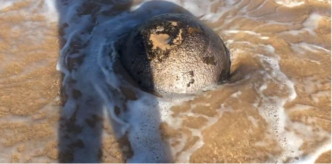 Mysterious object found on a Japanese beach, police cordon off the area