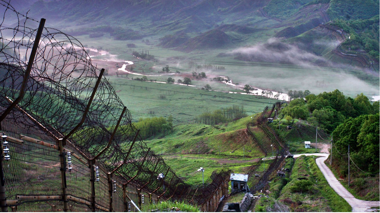 DMZ separating North and South Korea has become a wildlife haven