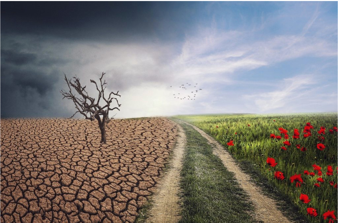 ‘Humanity stands on thin ice’- New UN report calls for urgent action to combat climate change