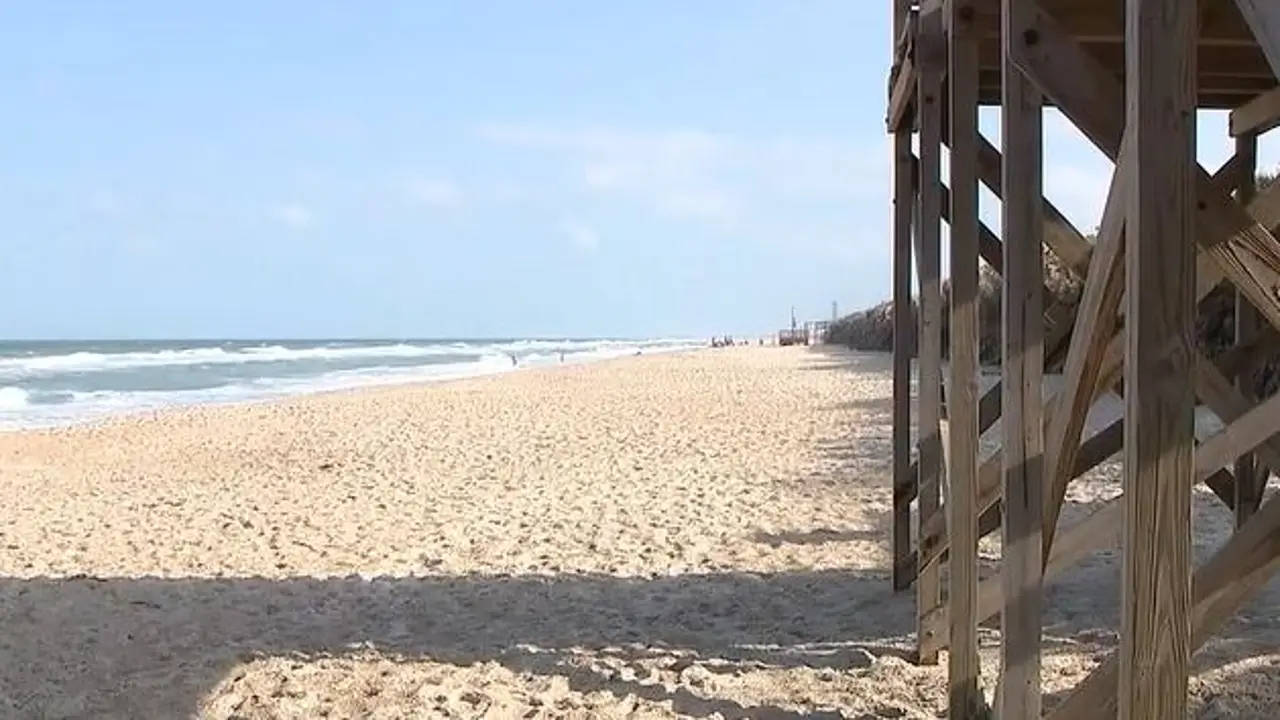 This July, Florida beachgoers are in for a nasty and ‘smelly’ surprise