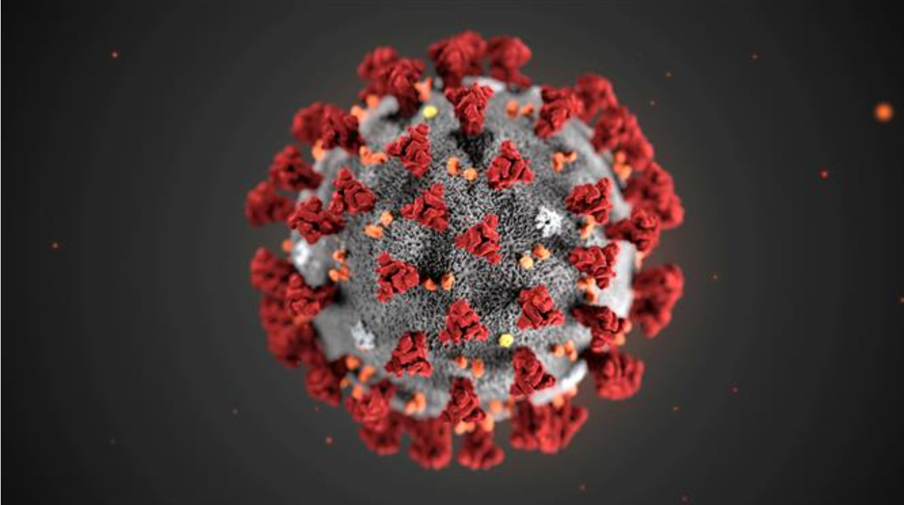 COVID-19 origin: China publishes data showing animal DNA at Wuhan Market