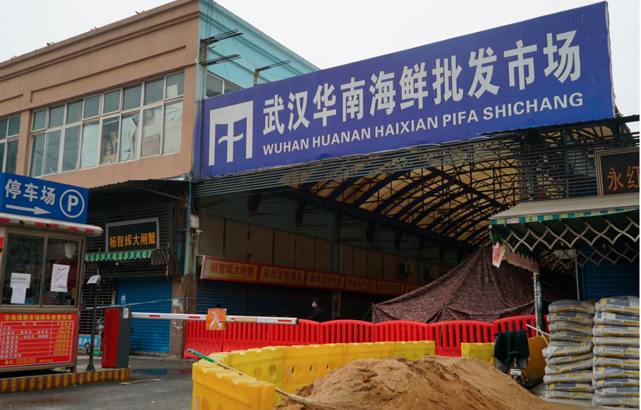 Did humans bring COVID-19 to the Wuhan market? Chinese scientist proposes a new theory
