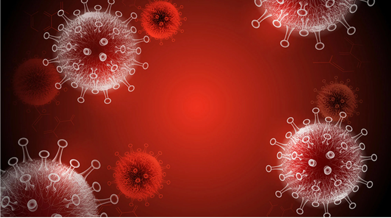 Pandemic as deadly as Covid could strike the World in next decade: Study