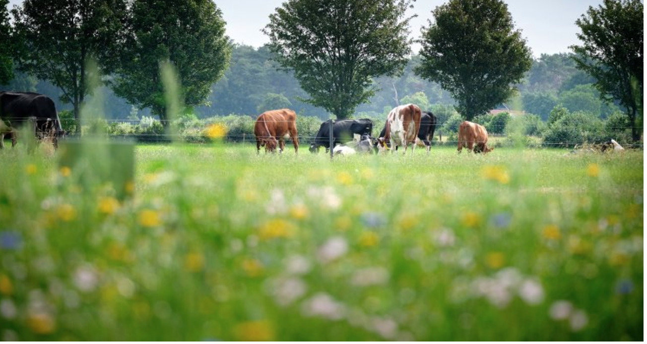 Methane, not as big as an Earth warmer as previously thought