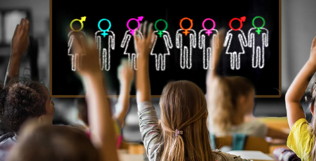 Vermont: School removes ‘male,’ ‘female’ terms from reproductive system lessons