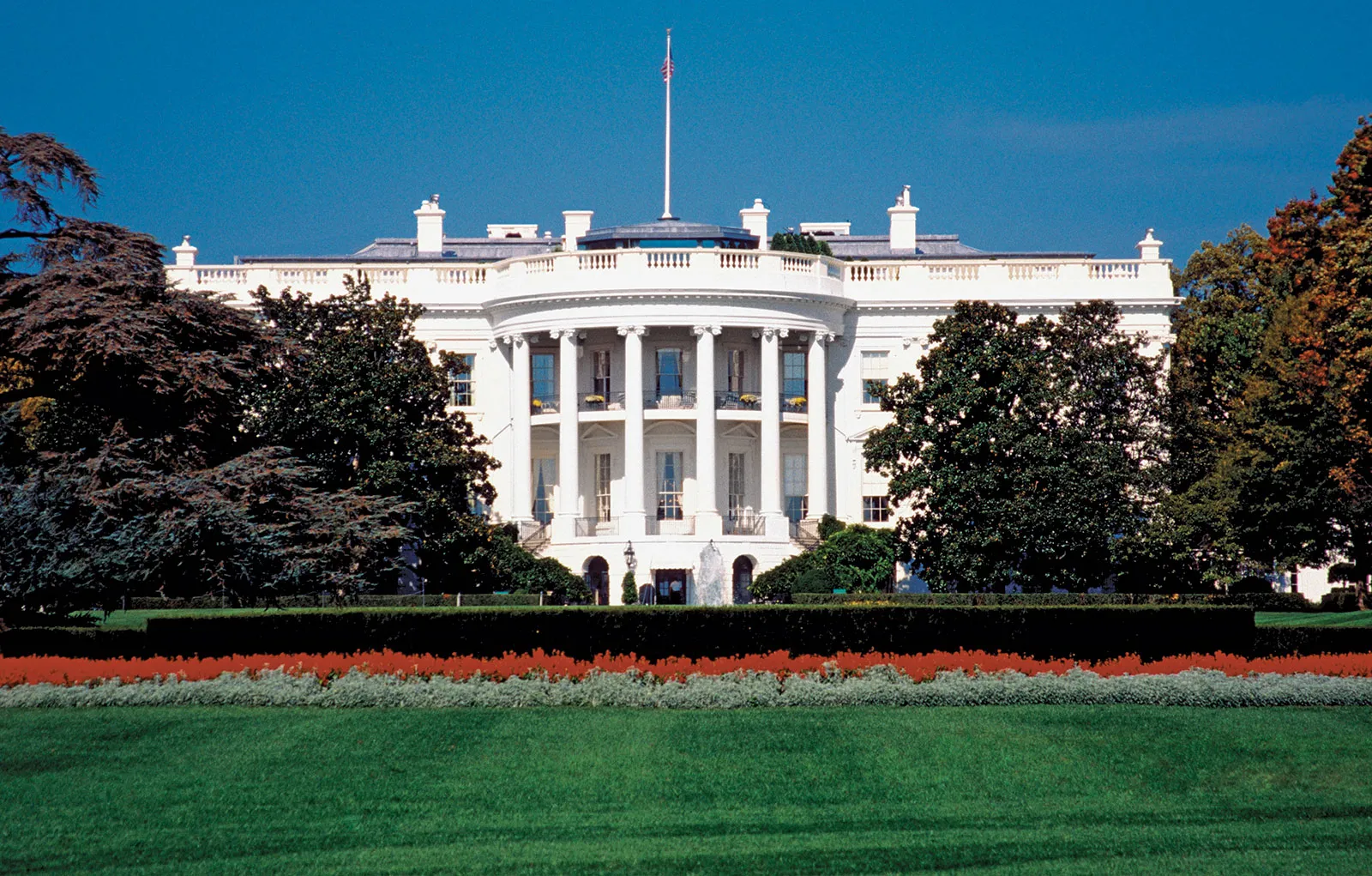 White House refuses to pay for Twitter Blue verification for employees