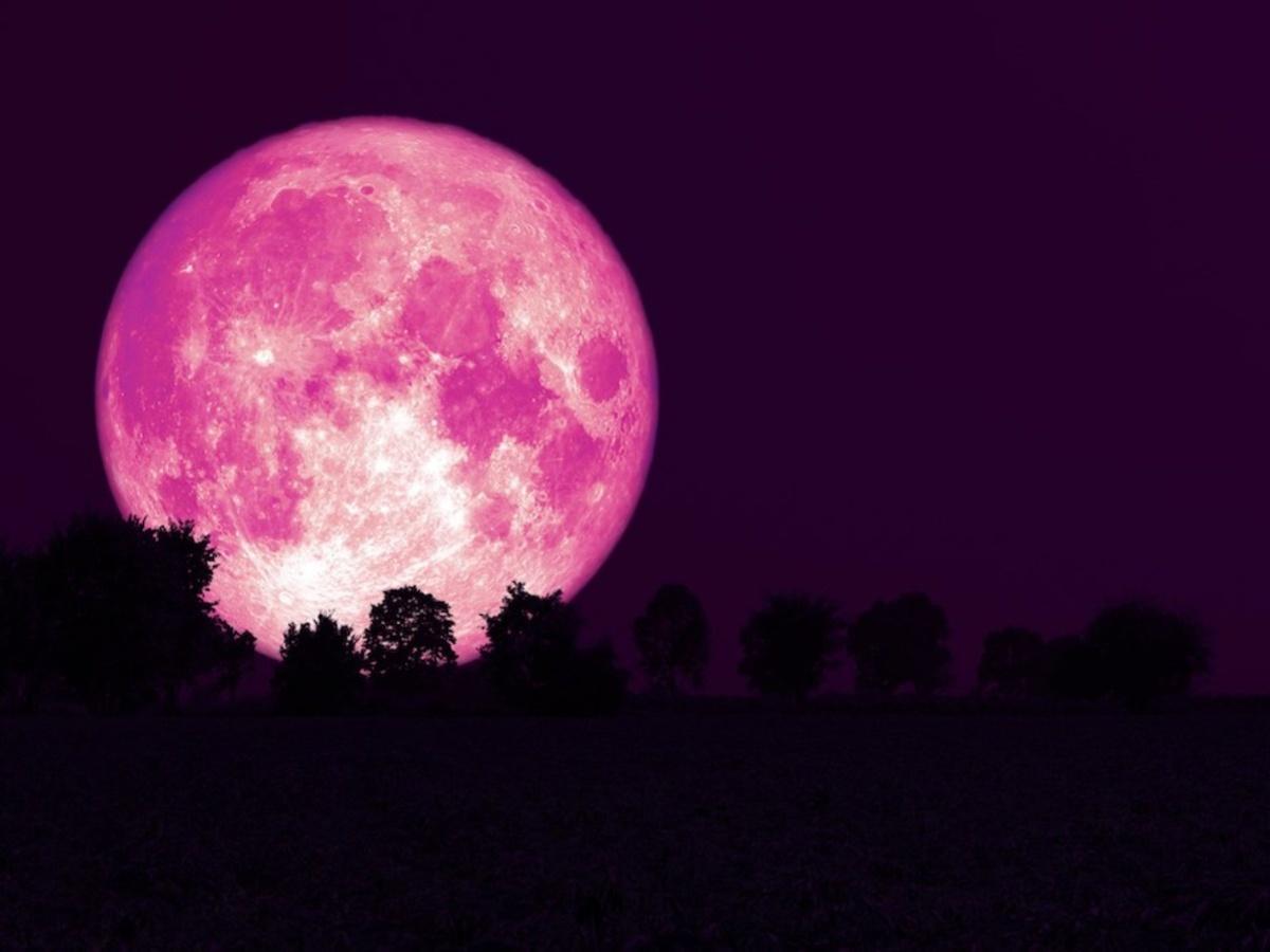 Pink Moon April 2023 History, significance, and watching
