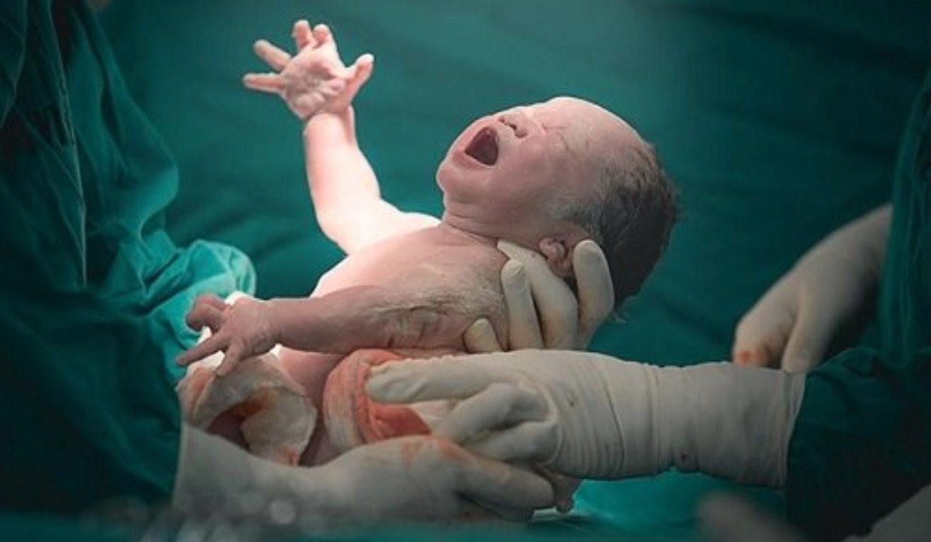 Viral video- Watch Florida cop assist with childbirth on highway