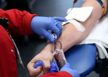 US FDA relaxes blood donation guidelines for gay and bisexual men