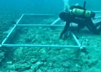 Croatia: Ancient road made by early humans discovered at the bottom of the sea