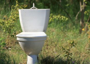 Closing the loop: How recycling human poop can contribute to sustainable food systems