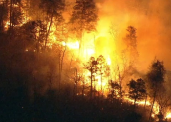 Global temperature set to break key 1.5C heat threshold for the first time in next five years
