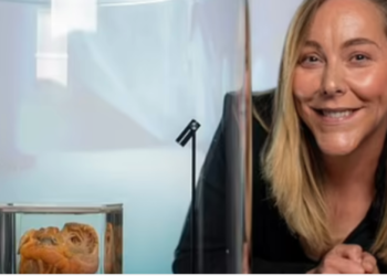 Oddest reunion ever: Woman sees her own heart on display at a museum, 16 years after transplant surgery