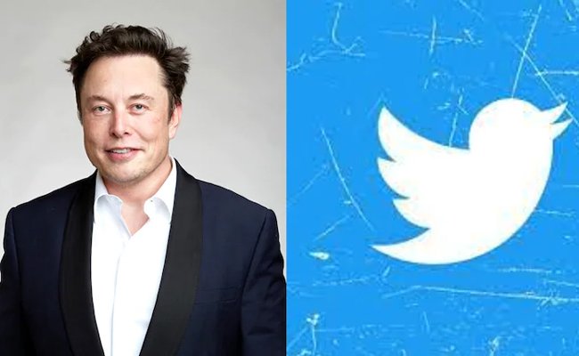 Twitter is now only worth a third of what Elon Musk paid for it: Report