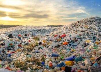 Groundbreaking: Scientists discover microbes in the Alps and the Arctic that can digest plastic at low temperatures