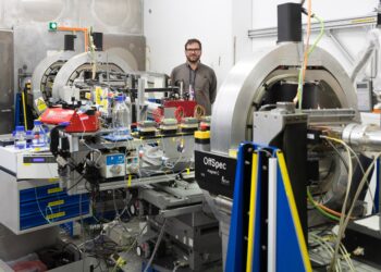 Scientists discover a critical process in cell death that halts the growth of cancer