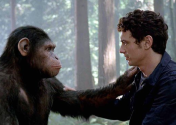 What makes us human? Primate genome study uncovers evolutionary secrets