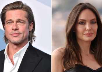 In the midst of a custody battle, Brad Pitt claims Angelina Jolie ‘secretly’ sold off winery stakes