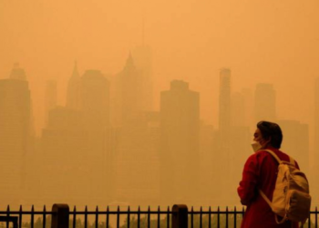 Canada Wildfires: Over 100 million Americans living under pollution alert: Key points