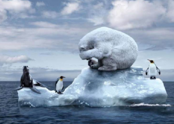 Global warming breaches the 1.5°C threshold in summer for 1st time