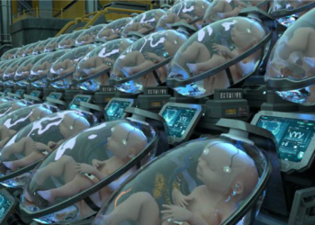 Researchers from Spain aim to ‘trick nature’ with an artificial womb