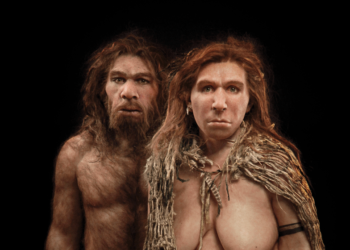 New study reveals how much Neanderthal DNA still exists in modern humans