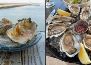 54-year-old Missouri man dies from flesh-eating bacteria after consuming raw oysters