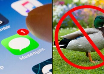 What the ‘duck’: Apple autocorrect will no longer do this with the F-word