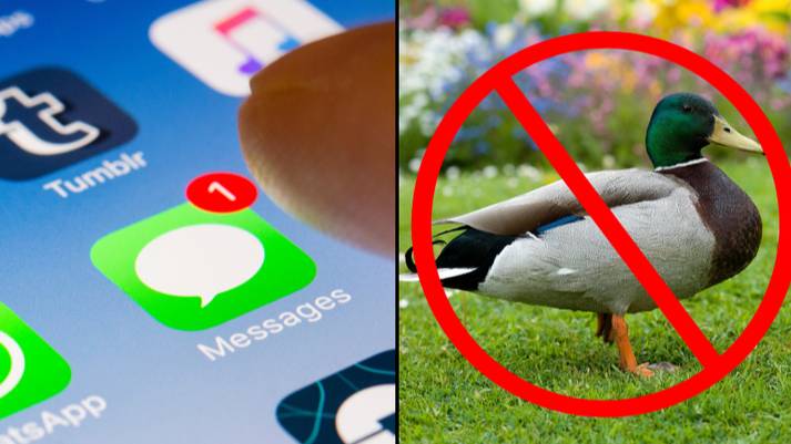What the ‘duck’: Apple autocorrect will no longer do this with the F-word