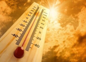 July 2023: World’s hottest month on record amidst devastating heatwaves and wildfires