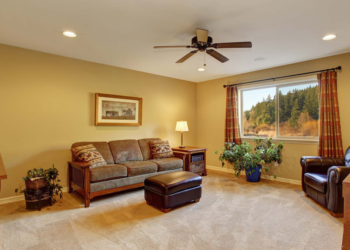 Bio Green Carpet Cleaning Phoenix: Sustainable Carpet Cleaning Solutions