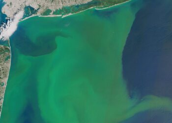 Oceans are changing colour and climate change may be to blame 